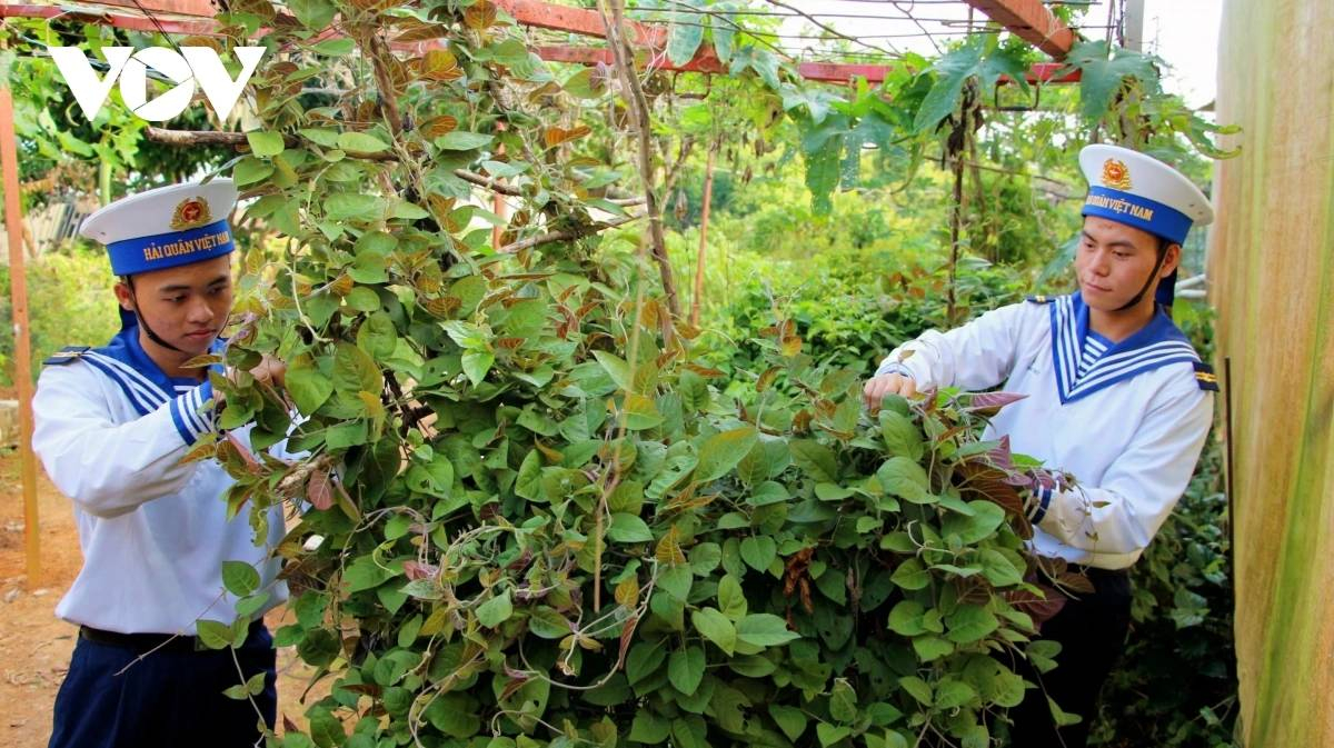 can bo, chien si, nguoi dan bien dao tay nam gui tron niem tin ve Dai hoi xiv hinh anh 2