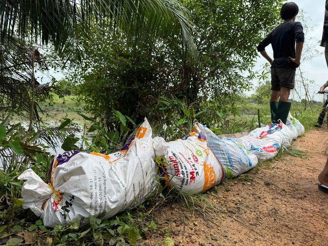 H&igrave;nh ảnh người d&acirc;n ở TP HCM gia cố bờ bao ngăn chặn thủy triều l&ecirc;n trong đ&ecirc;m - Ảnh 1.