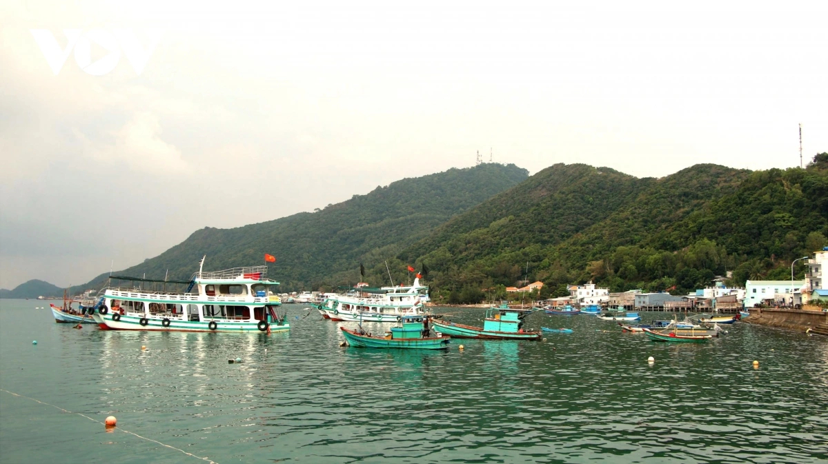 can bo, chien si, nguoi dan bien dao tay nam gui tron niem tin ve Dai hoi xiv hinh anh 4