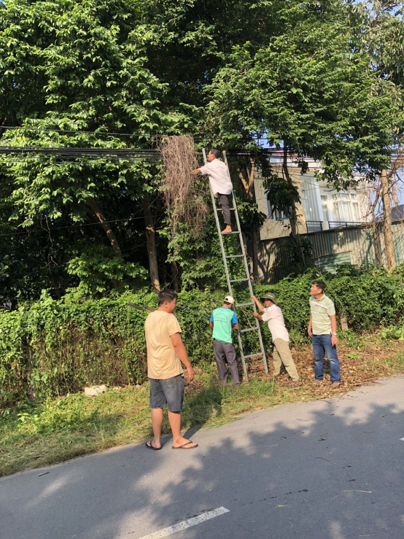 Có thể là hình ảnh về 5 người, mọi người đang leo núi và cây