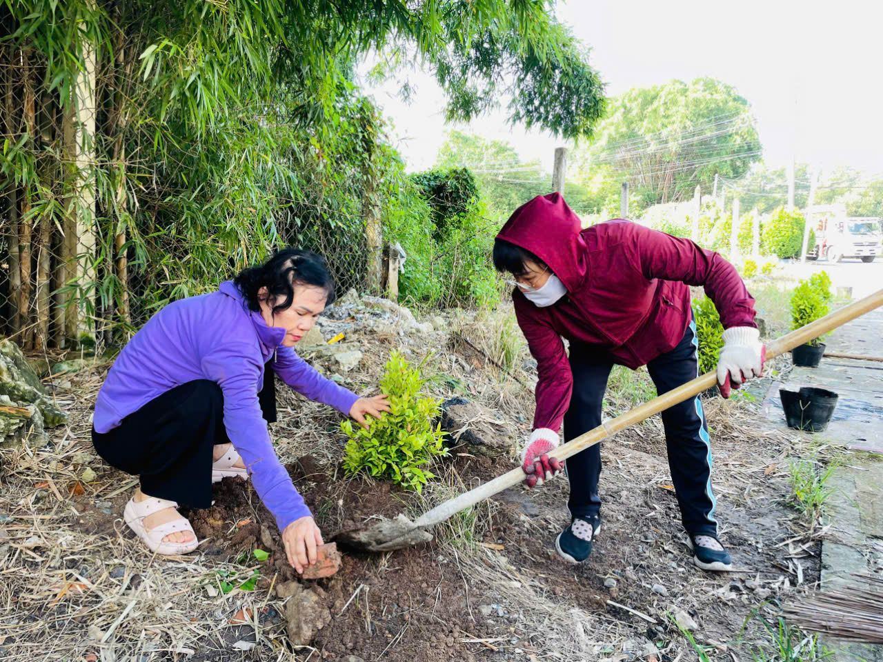 Có thể là hình ảnh về 2 người và cây