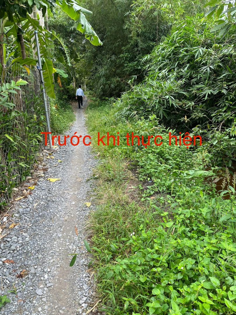 Có thể là hình ảnh về 1 người, cây, đường và văn bản