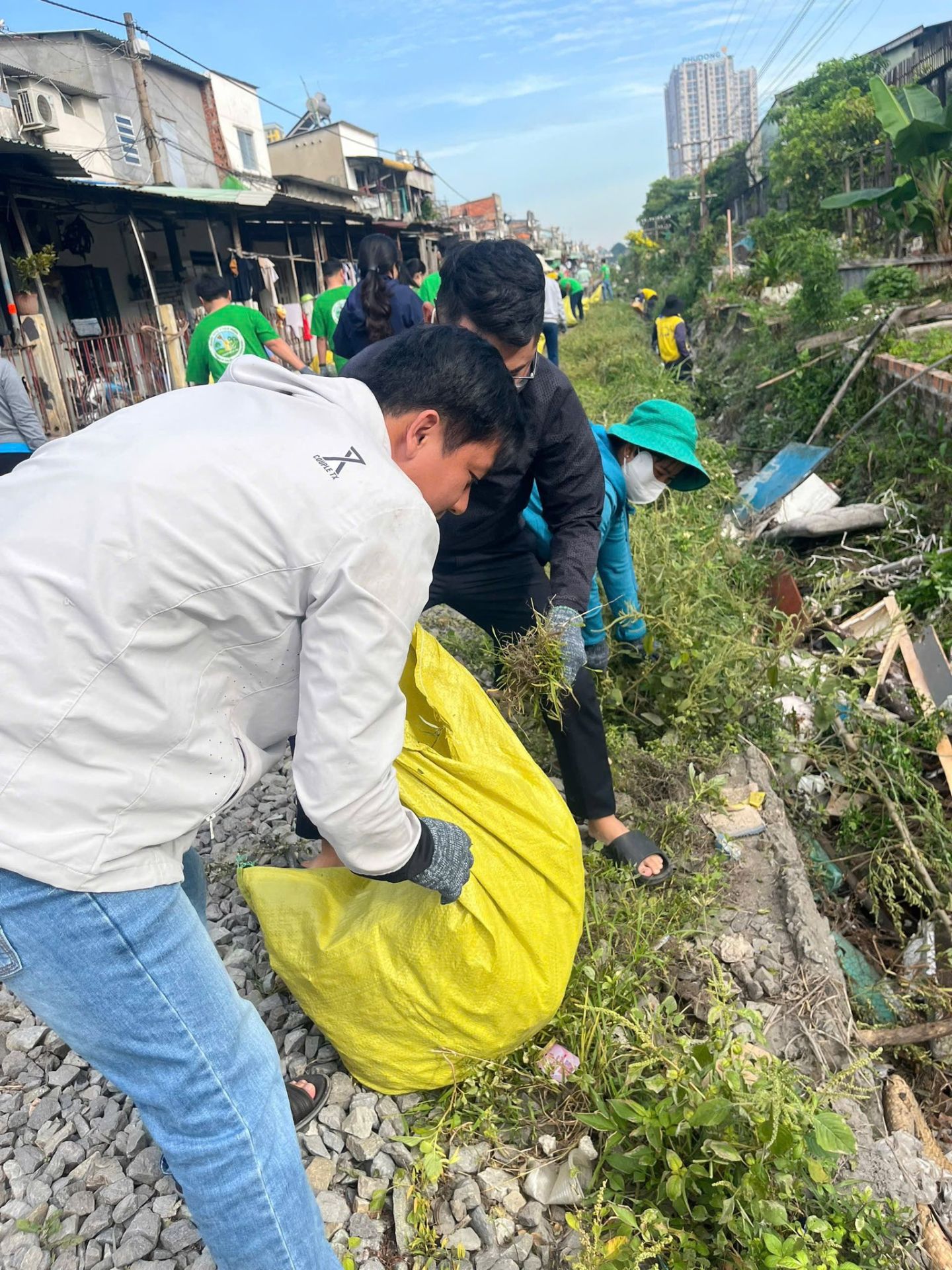 C&oacute; thể l&agrave; h&igrave;nh ảnh về c&acirc;y