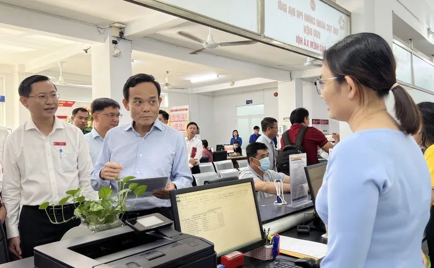 Trần Lưu Quang (6).jpg