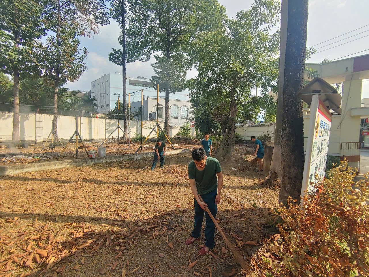 C&oacute; thể l&agrave; h&igrave;nh ảnh về cỏ v&agrave; c&acirc;y