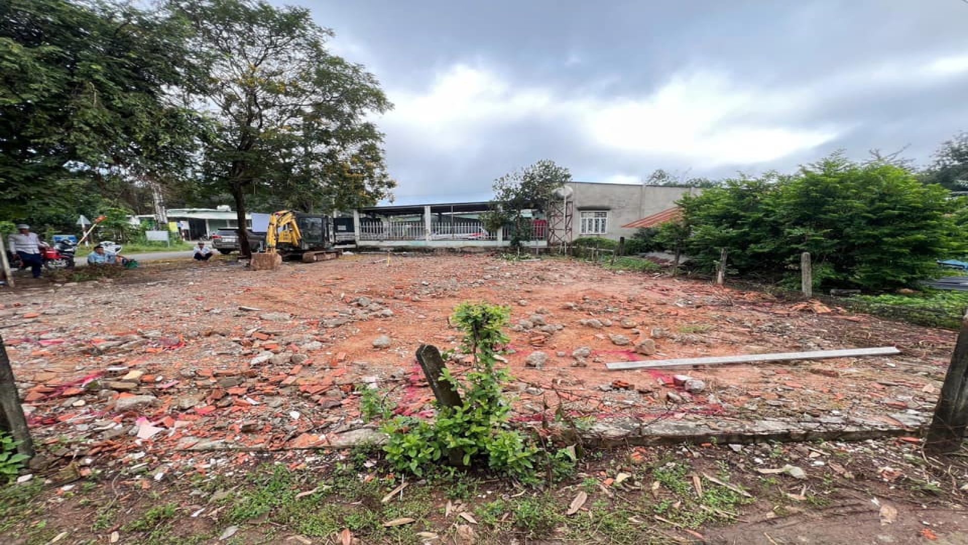 Có thể là hình ảnh về 3 người, cây và cỏ