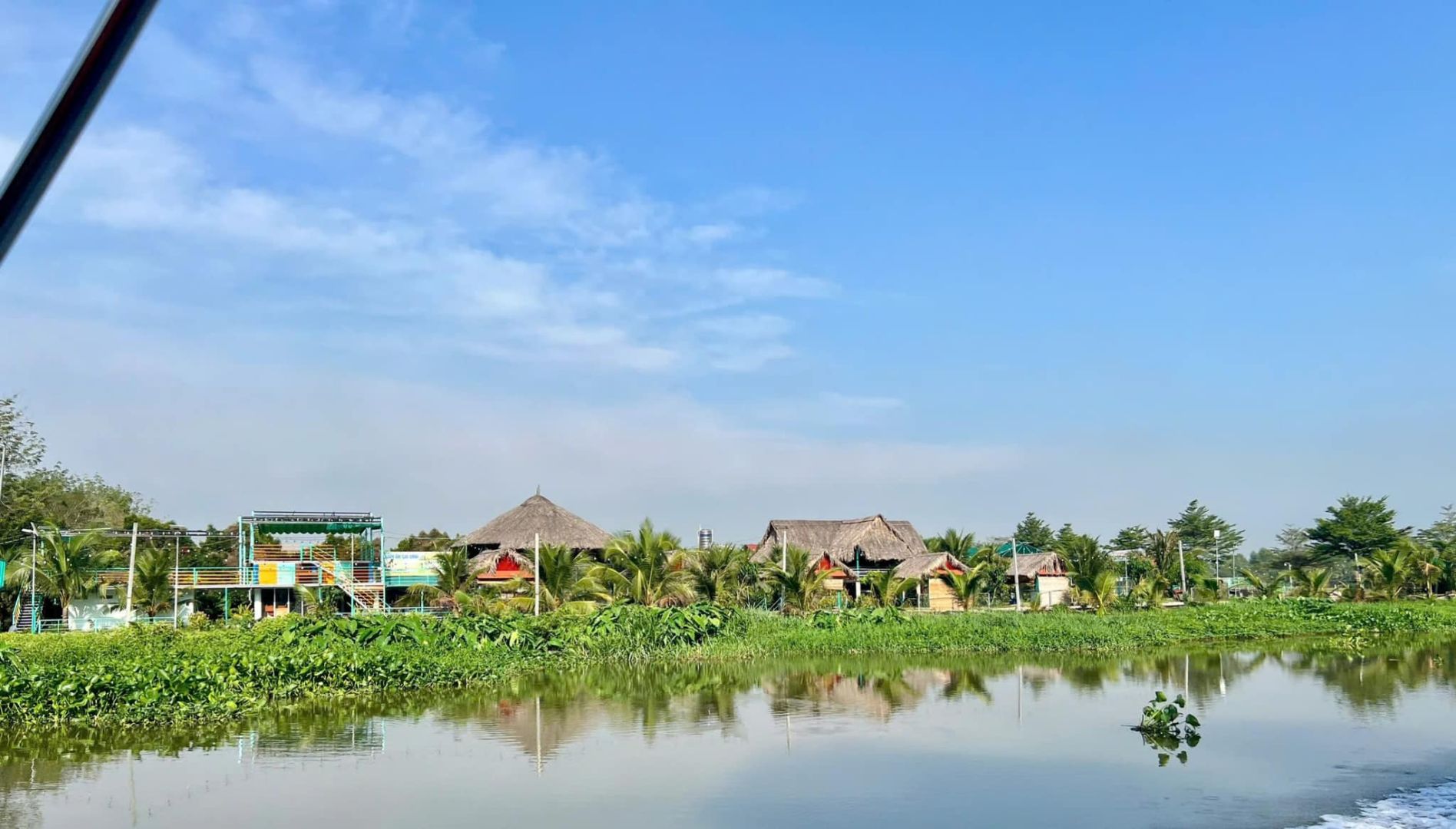 Có thể là hình ảnh về cây lục bình và hồ