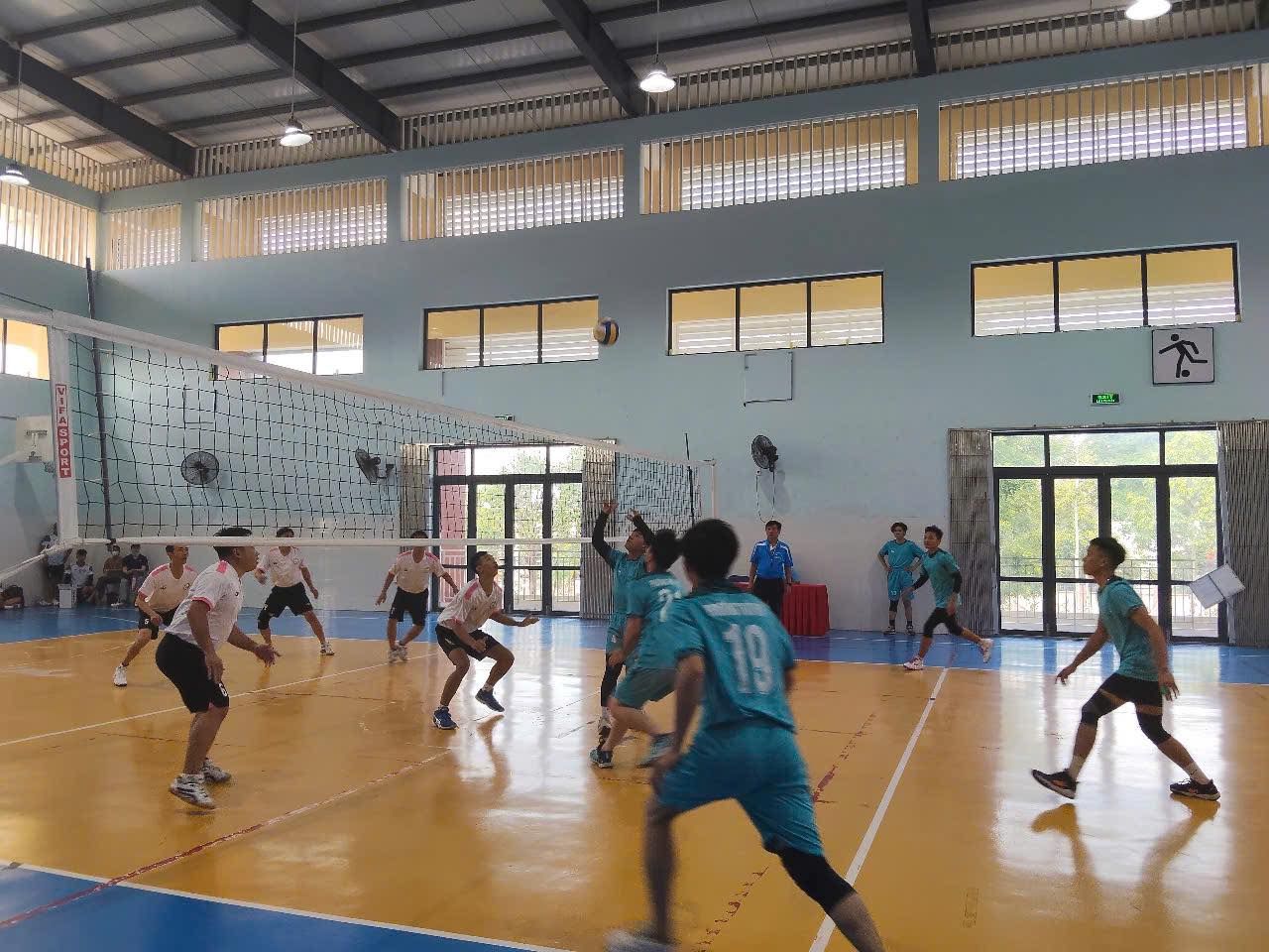 Có thể là hình ảnh về 9 người, mọi người đang chơi bóng rổ, mọi người đang chơi bóng bầu dục, mọi người đang chơi bóng chuyền và mọi người đang chơi bóng đá