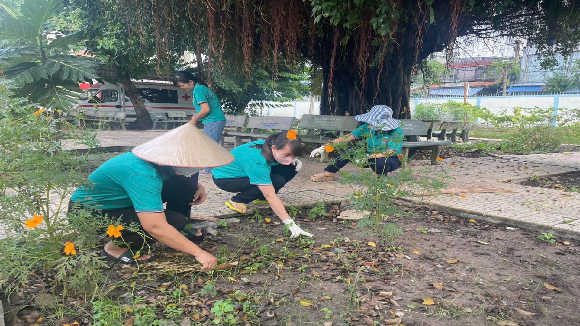 C&oacute; thể l&agrave; h&igrave;nh ảnh về 4 người v&agrave; c&acirc;y