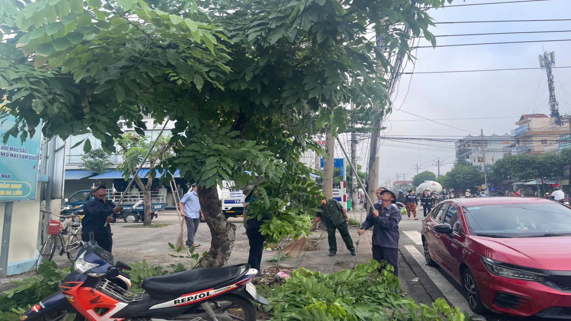 C&oacute; thể l&agrave; h&igrave;nh ảnh về 8 người v&agrave; c&acirc;y