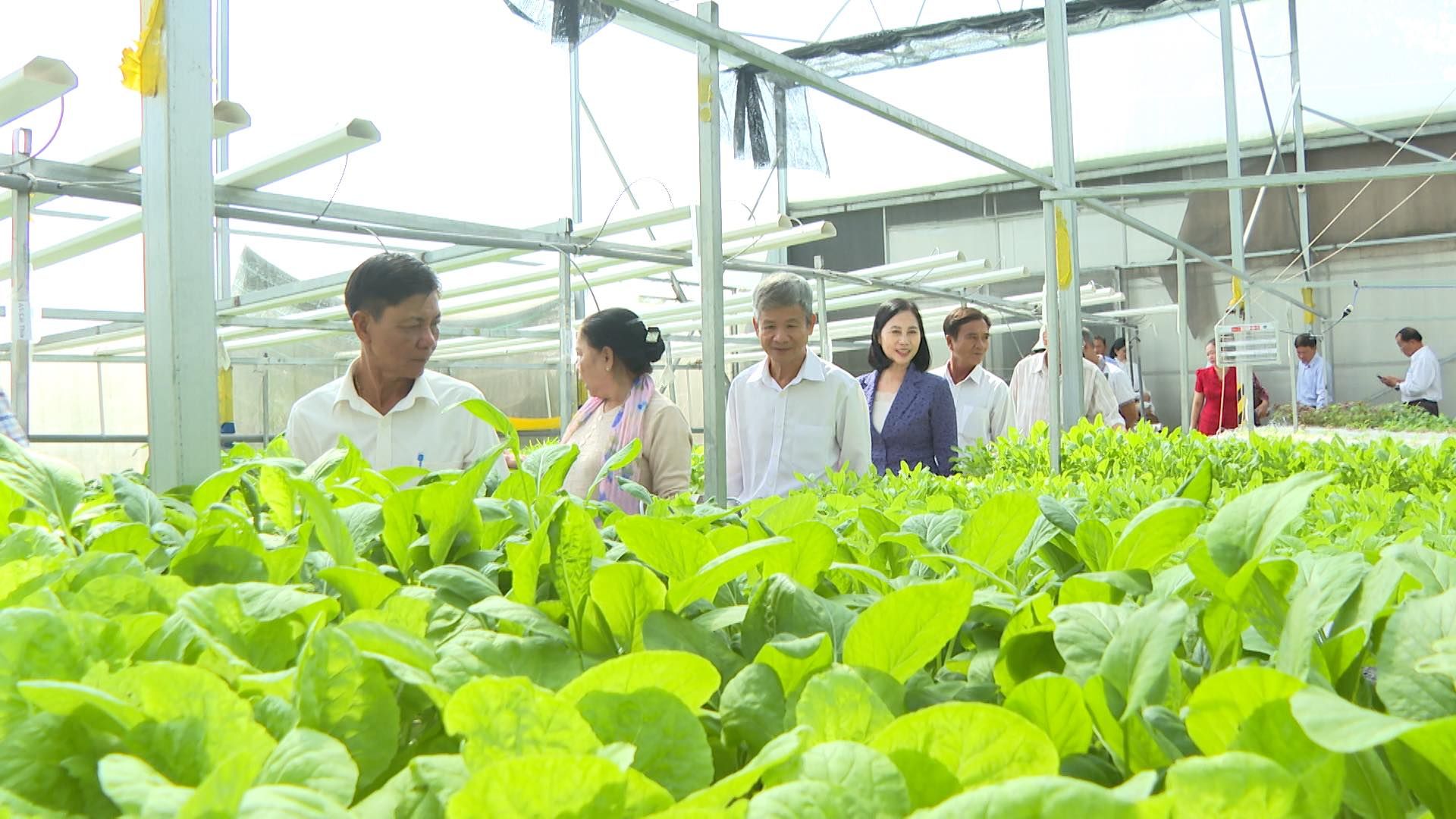 Có thể là hình ảnh về 11 người và cải búp