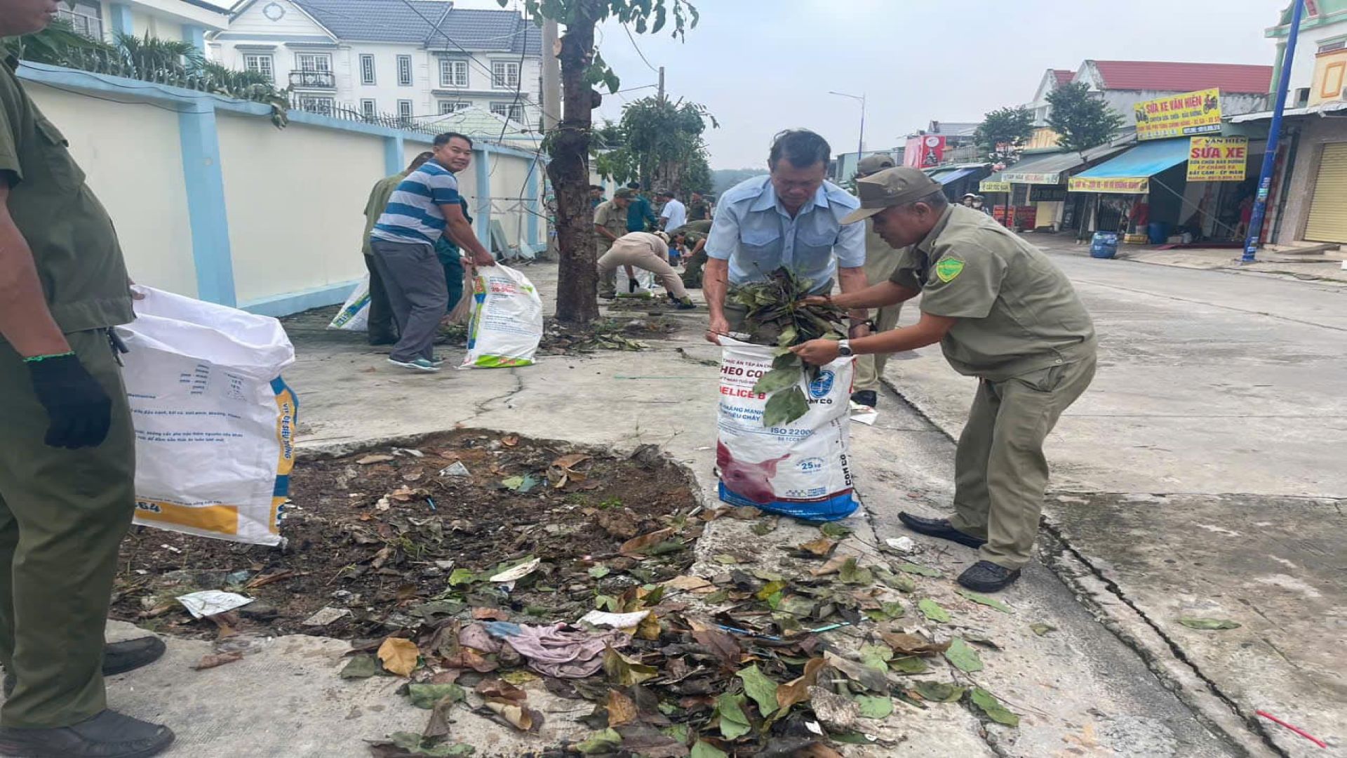 C&oacute; thể l&agrave; h&igrave;nh ảnh về 4 người v&agrave; c&acirc;y