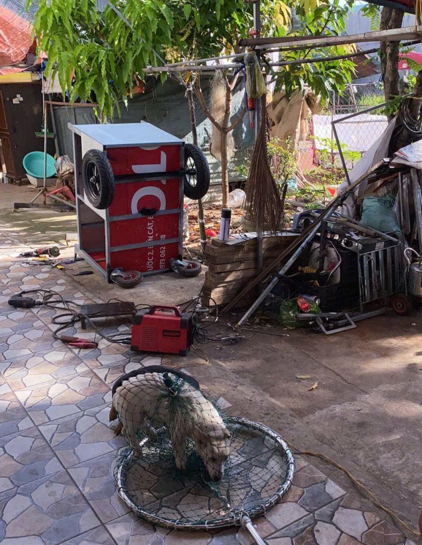 Có thể là hình ảnh về máy mài và bình nóng lạnh