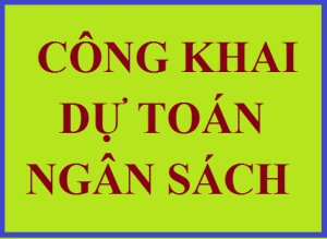 Công bố công khai dự toán ngân sách địa phương và phân bổ ngân sách phường Bến Cát năm 2025