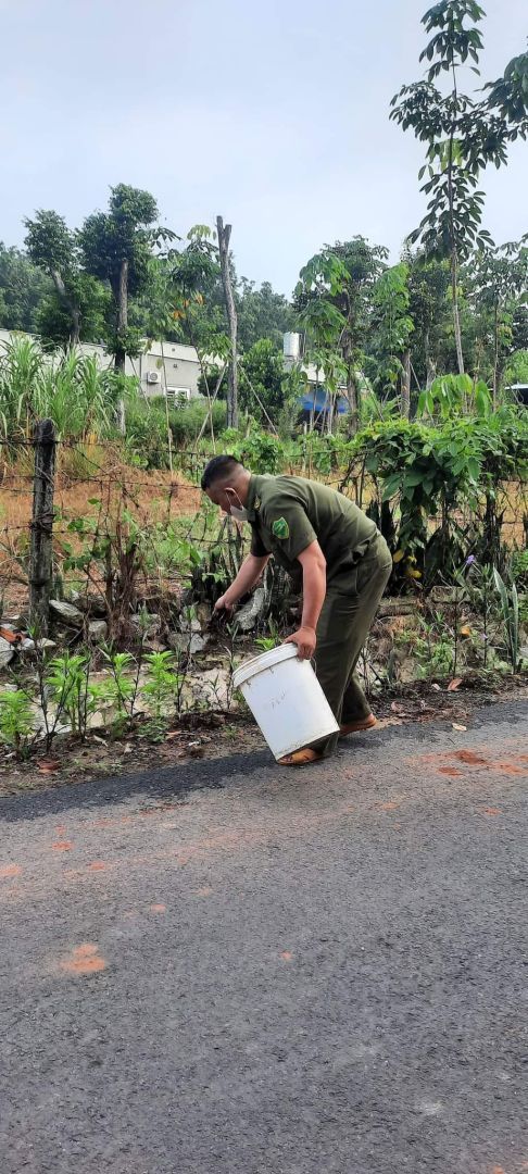 Có thể là hình ảnh về 1 người và cỏ