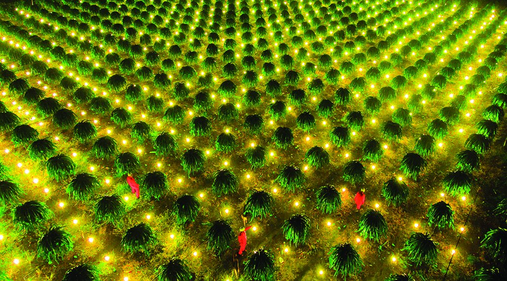 Điện đi trước một bước, tạo "đòn bẩy" thúc đẩy phát triển kinh tế phía Nam