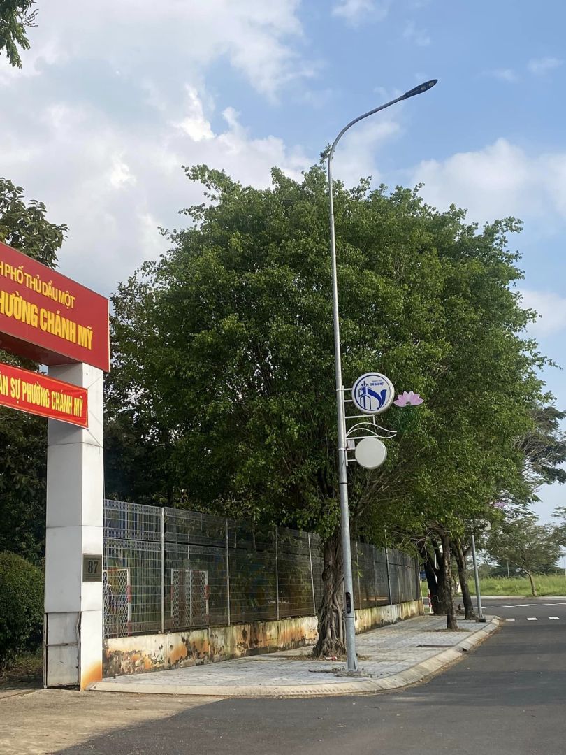 Có thể là hình ảnh về máy thu tiền đỗ xe, thiết bị chiếu sáng, cây, đường, đường phố và văn bản